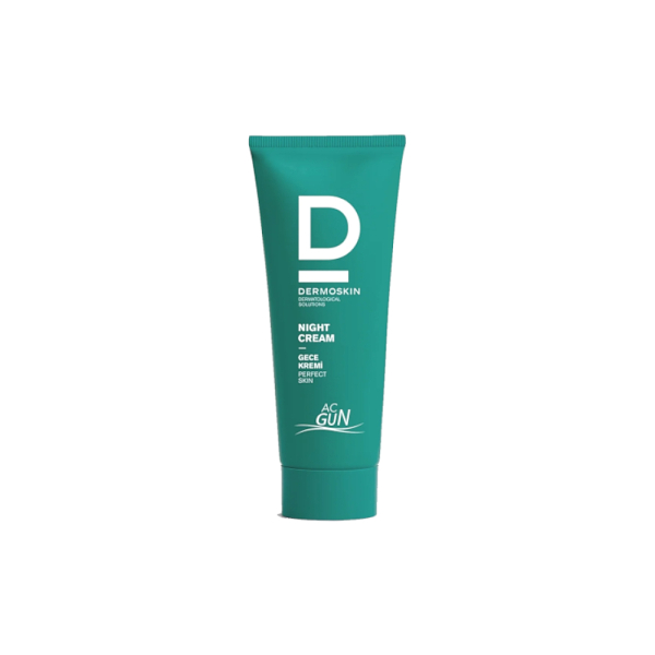 Dermoskin Acnegun Night Cream 30ml - 1