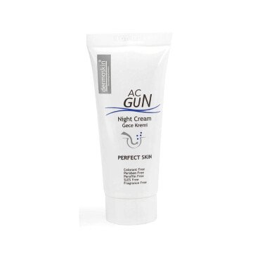 Dermoskin Acnegun Night Cream 30ml - Dermoskin