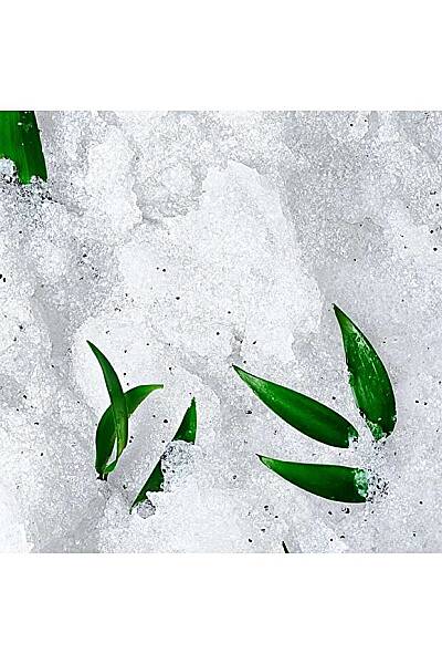 Nuxe Reve De The Vücut Peelingi 150ml - 3