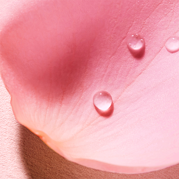 Nuxe Very Rose Vücut Spreyi 100ml - 5