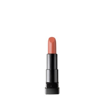 Pastel Pro Fashion Matte Lipstick 4.3g No:553 - Pastel