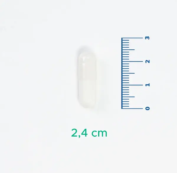 Velavit V-AKG Ca - Alfaketoglutarat-kalsiyum (AKG) Longevity - 60 Kapsül - 5