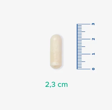 Velavit V-PsCog - Lpc-37, Fosfotidilserin ve Sitikolin İçeren Takviye Edici Gıda 30 Kapsül - 4