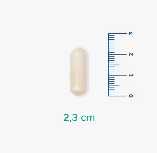 Velavit V-PsCog - Lpc-37, Fosfotidilserin ve Sitikolin İçeren Takviye Edici Gıda 30 Kapsül - 4